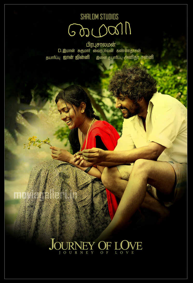 Mynaa bgm copied by kgf