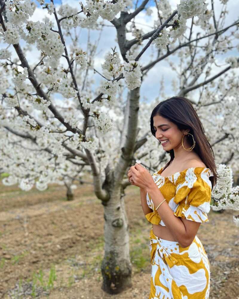 Malavika mohanan new clicks