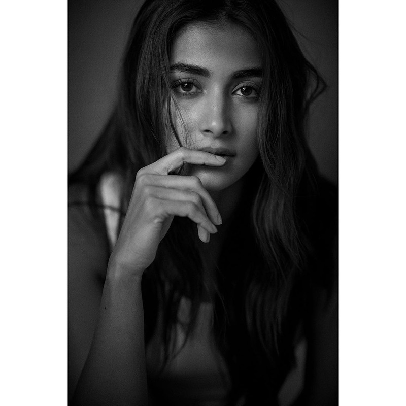 Pooja hedge new clicks