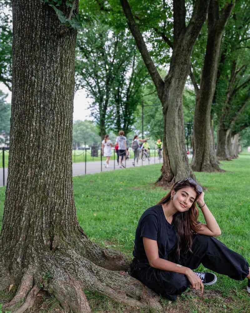 Pooja hegde new clicks