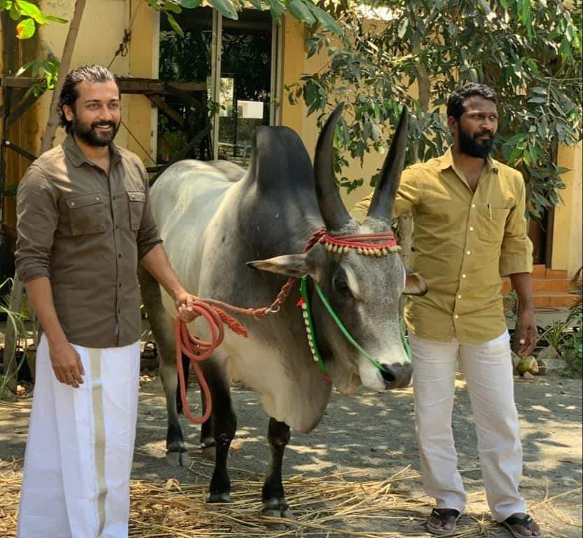 Vetrimaran suriya mass update