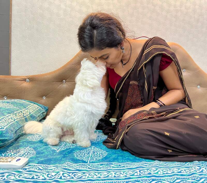 Anjali dog hot new