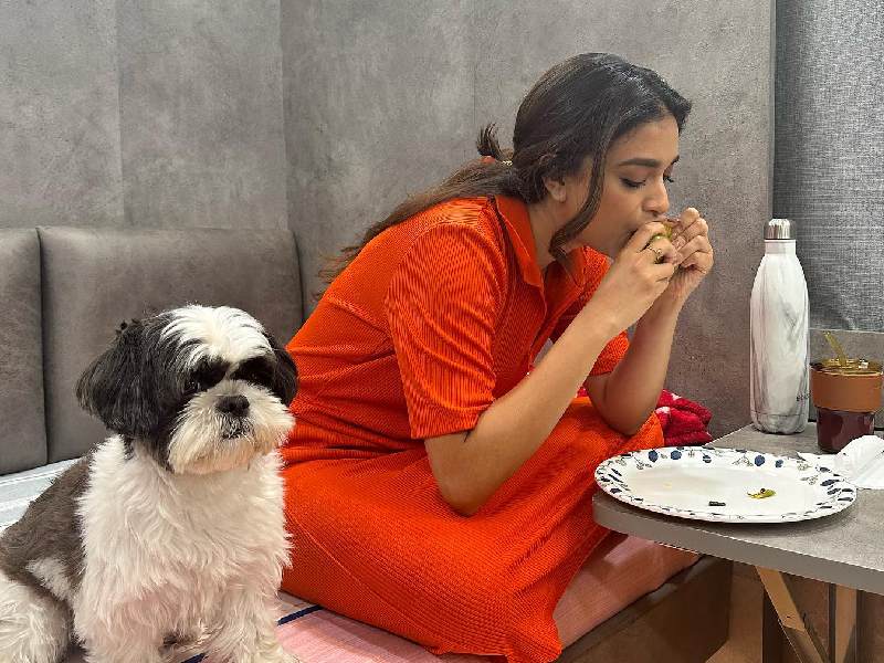 Keerthy suresh instagram reel with dog viral