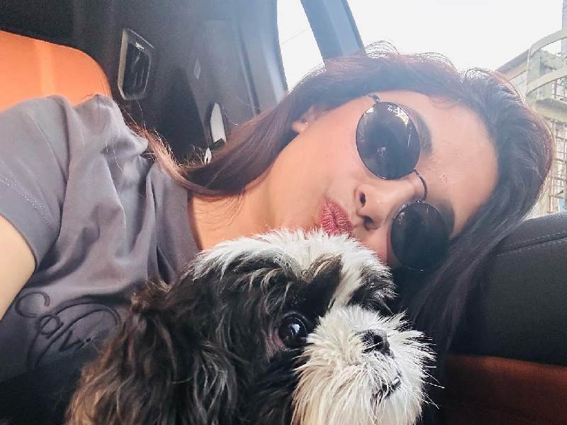 Keerthy suresh instagram reel with dog viral