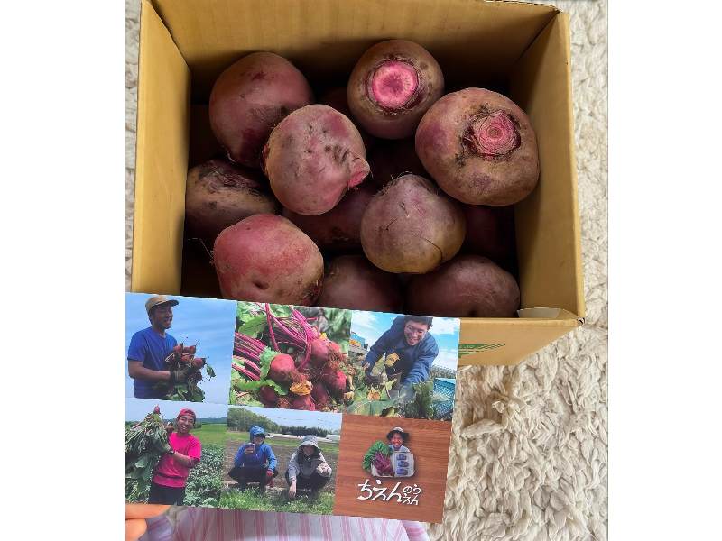 Japan farmer face marketing idea in india