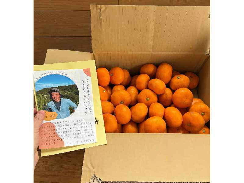 Japan farmer face marketing idea in india