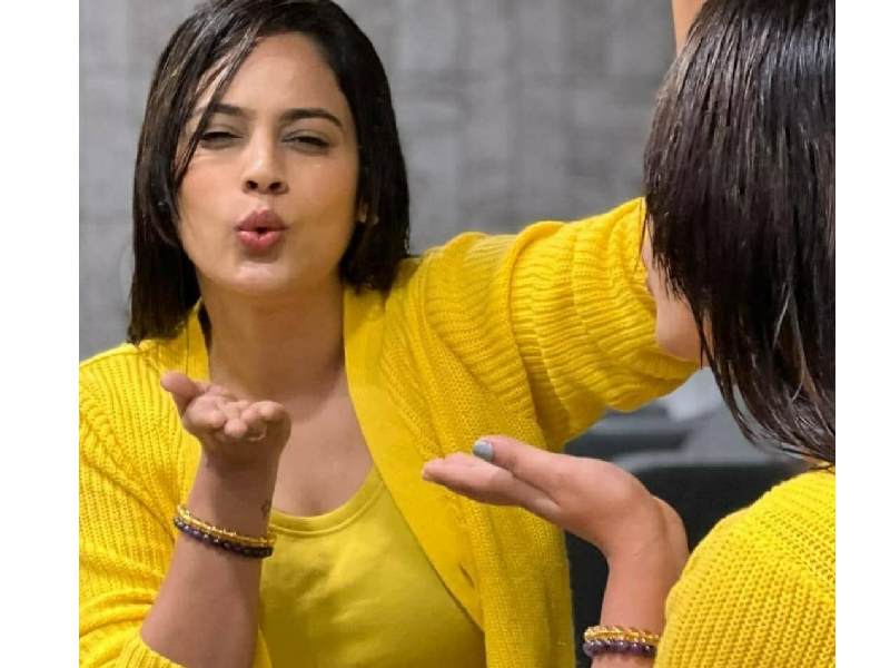 Nandita swetha tamil cinema comeback news