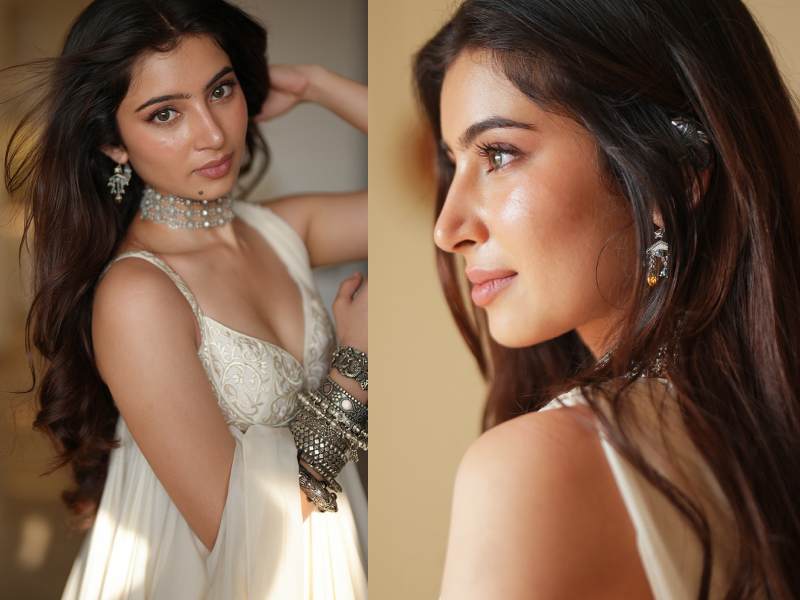 Sara arjun tamil hindi actress dhurandhar blog