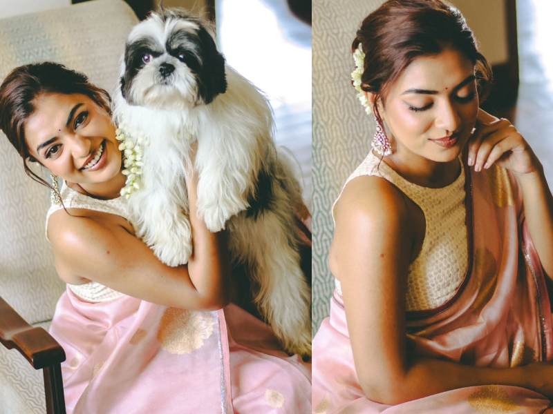 Nazriya nazim tamil cinema journey and comeback tamil
