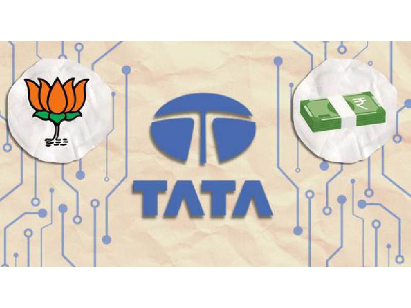 Tata donation government subsidy analysis