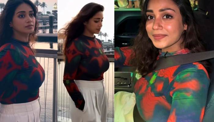 Nivetha pethuraj tamil telugu blog