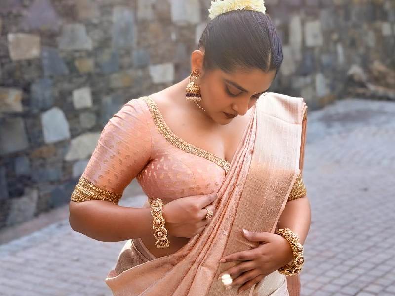 Nivetha thomas tamil cinema fans journey