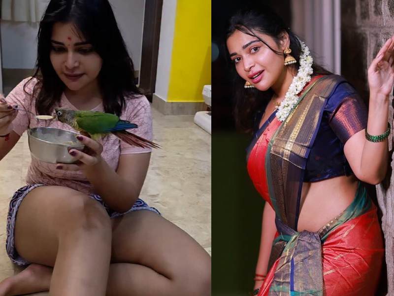 Dharsha gupta tamil actress career journey