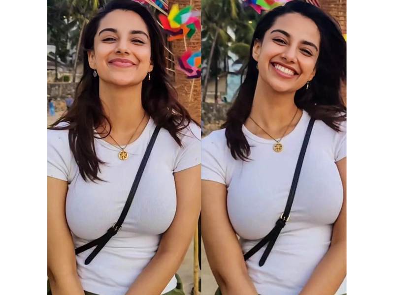 Meenakshi chaudhary telugu tamil cinema journey