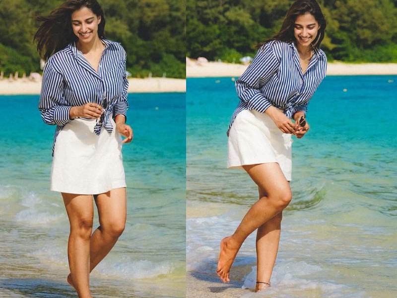 Meenakshi chaudhary telugu tamil cinema journey