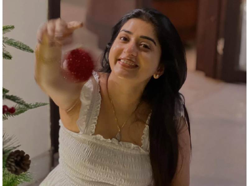Meera jasmine comeback south indian cinema