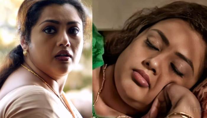 Meena actress cinema legacy fans expectations