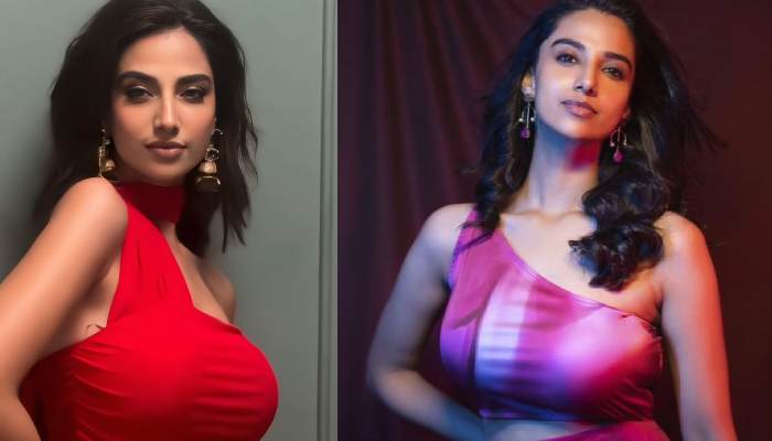 Meenakshi chaudhary next tamil movie announcement