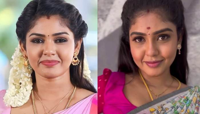 Hema rajkumar television journey big screen dream