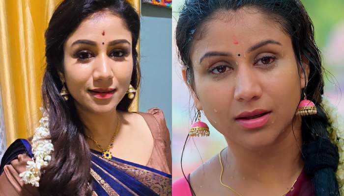 Alya manasa iniya serial rishi saregama tv shows tamil