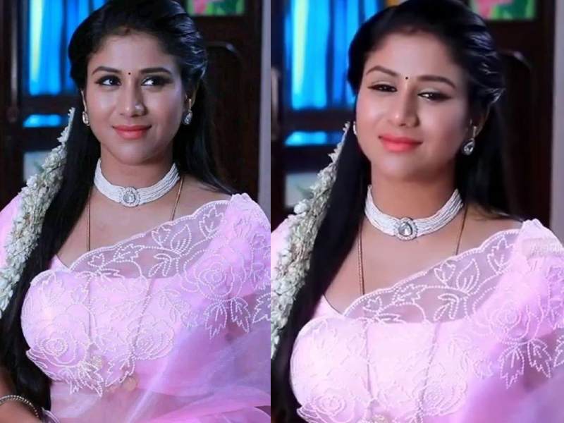 Alya manasa iniya serial rishi saregama tv shows tamil