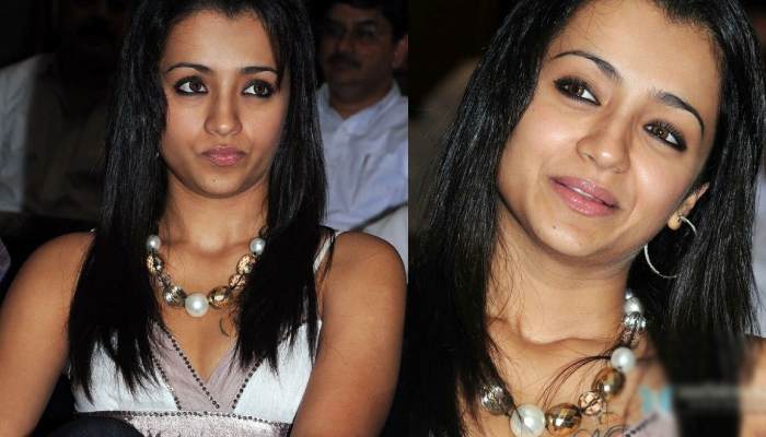 Vijay trisha mumbai controversy update