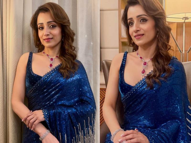 Vijay trisha mumbai controversy update