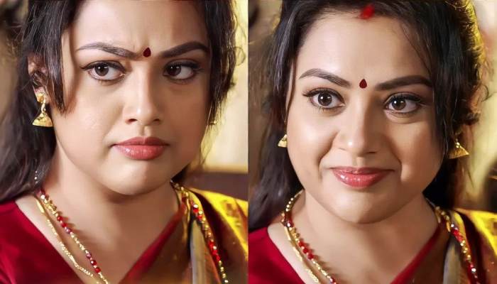 Meena actress journey south cinema classic to modern