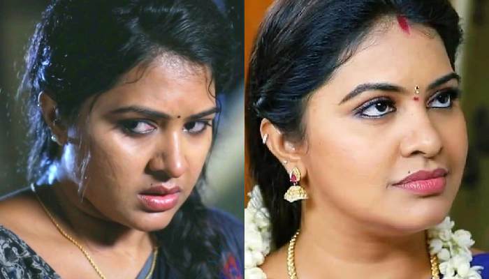 Rachitha mahalakshmi saravanan meenatchi tamil serial popularity