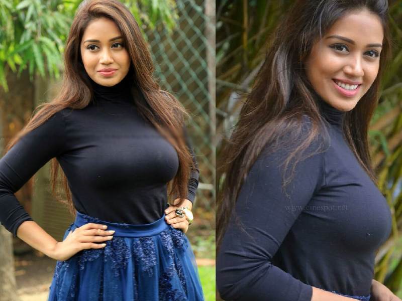 Nivetha pethuraj tamil cinema contribution