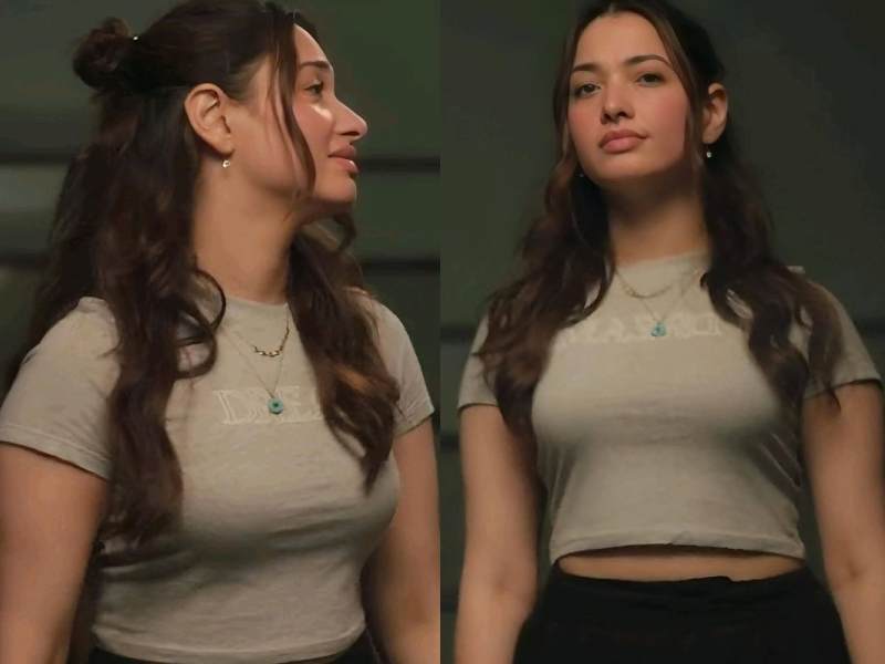 Tamannaah bhatia tamil to bollywood journey
