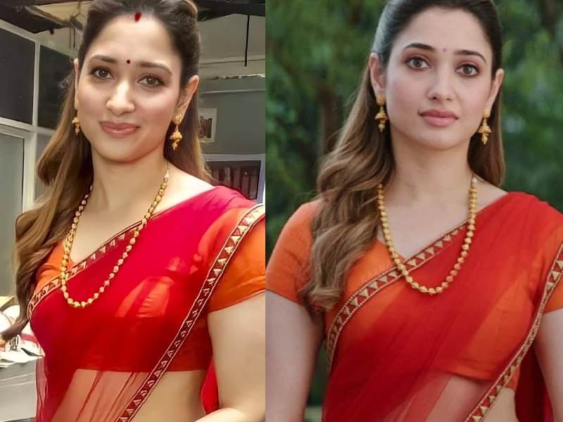 Tamannaah bhatia tamil to bollywood journey