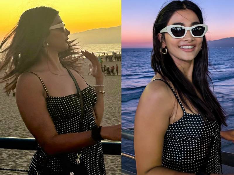 Pooja hegde kollywood journey tamil cinema