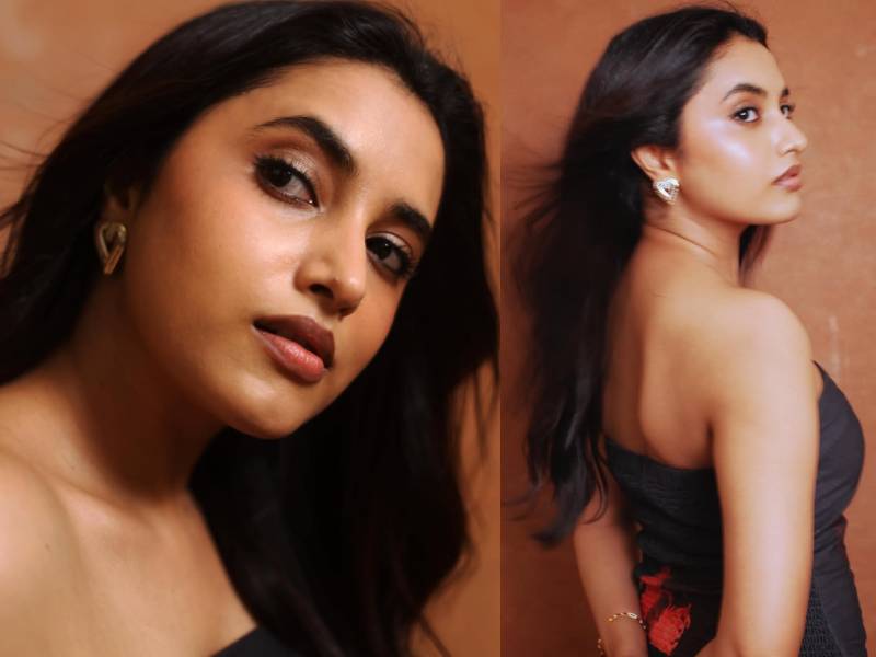 Priyanka arul mohan career journey comeback south indian cinema