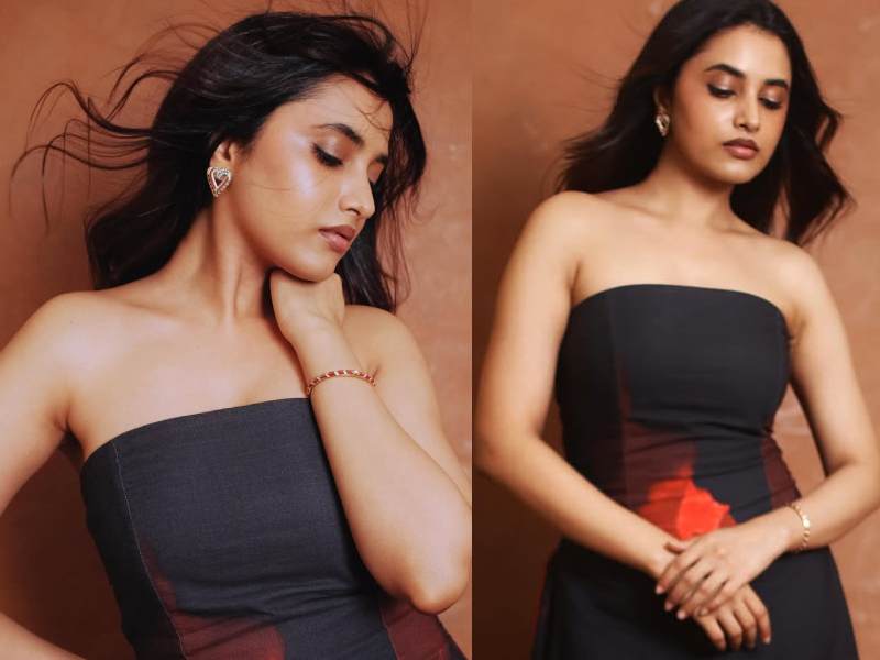 Priyanka arul mohan career journey comeback south indian cinema